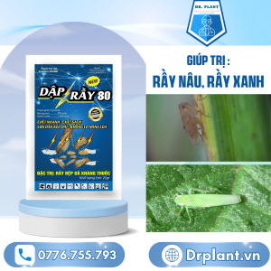 DẬp RẦy 80 Drplant.vn 1
