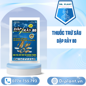 DẬp RẦy 80 Drplant.vn