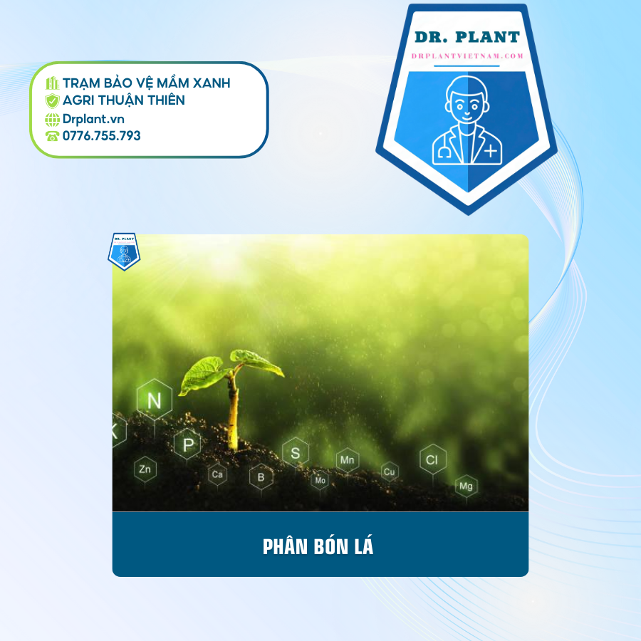 PHÂN BÓN LÁ PHÂN BÓN LÁ