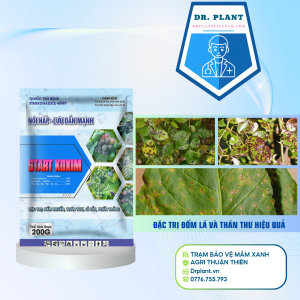 Starkonazole 40wp  Drplant.vn (1)