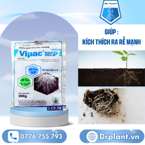Vipac 88sp Drplant.vn 1