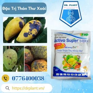 Activo Super 648wp (3)