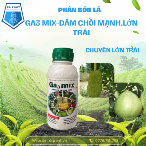 Ga3 Mix drplant.vn.1