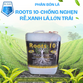 Roots 10