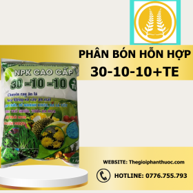 30 10 10te Thegioiphanthuoc.com 1.png