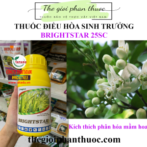 Brightstar 25sc 1.png