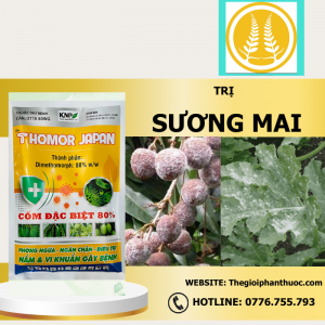 Carlotta 80wg Thegioiphanthuoc.com 1.png