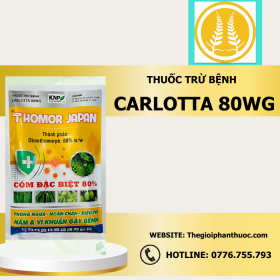 Carlotta 80wg Thegioiphanthuoc.com 1.png