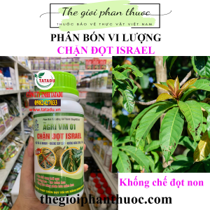 Chan Dot Israel 1.png