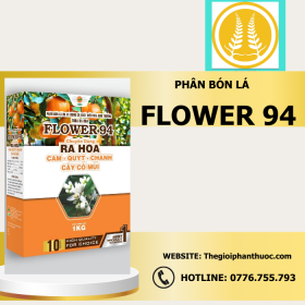 Flower 94 Thegioiphanthuoc.com 1.png