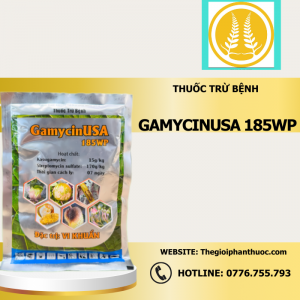 Gamycinusa 185wp.png