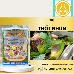 Gamycinusa 185wp. 1.png