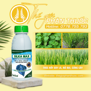 Silka Max Thegioiphanthuoc.com 1.png