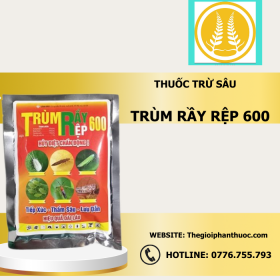 Trum Ray Rep 600 Thegioiphanthuoc.com .png